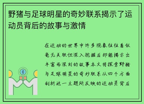 野猪与足球明星的奇妙联系揭示了运动员背后的故事与激情